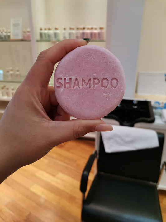 Sulfate Free Shampoo & Conditioner Bars | THE VEGAN POTIONRY